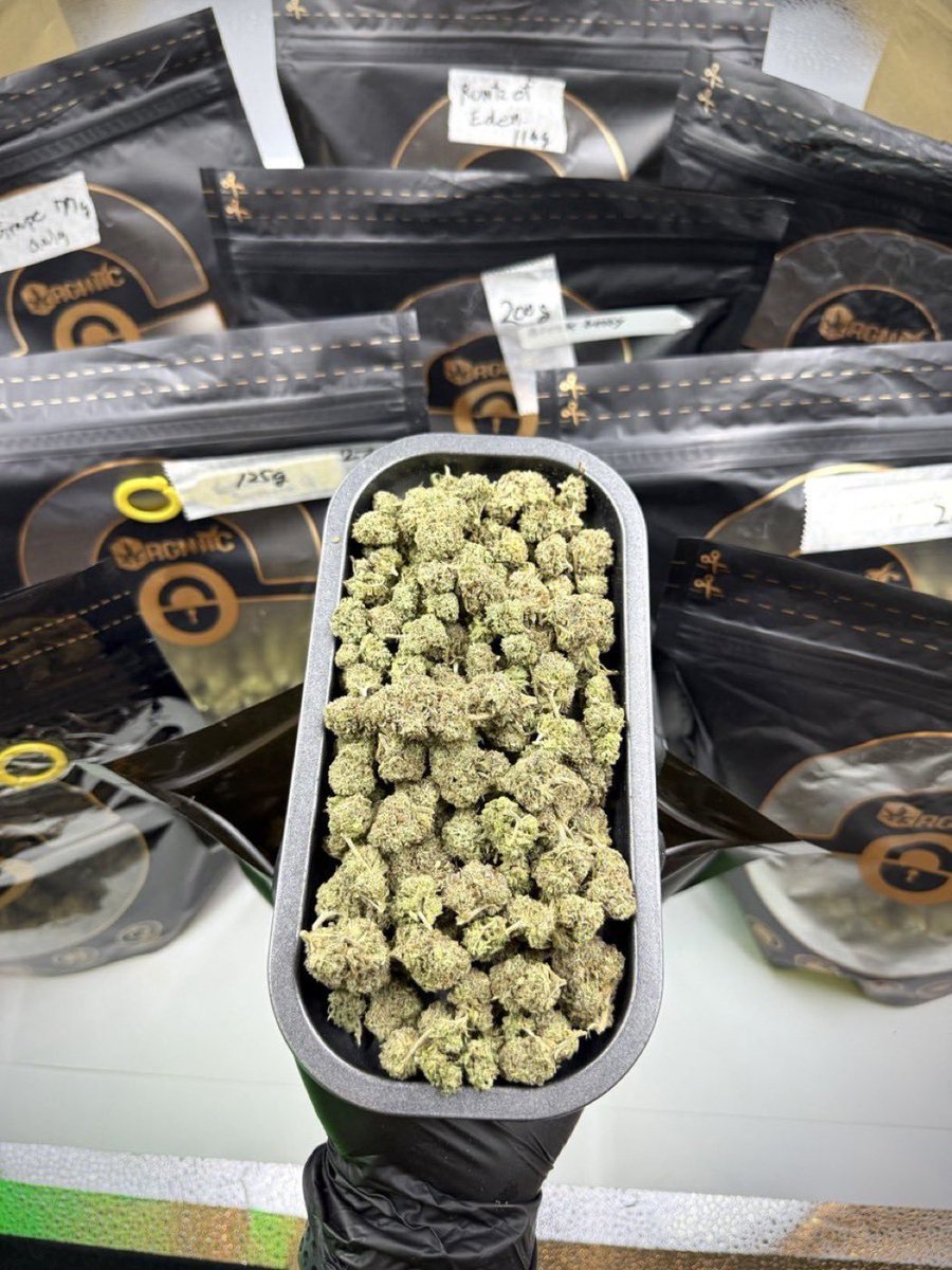 drkknigh's tweet photo. @TheSmokerclub_ Lemon Cherry Gelato Bs 
15 units 
$900 shipped 
$800 Intown https://t.co/ENNAWaO0k4