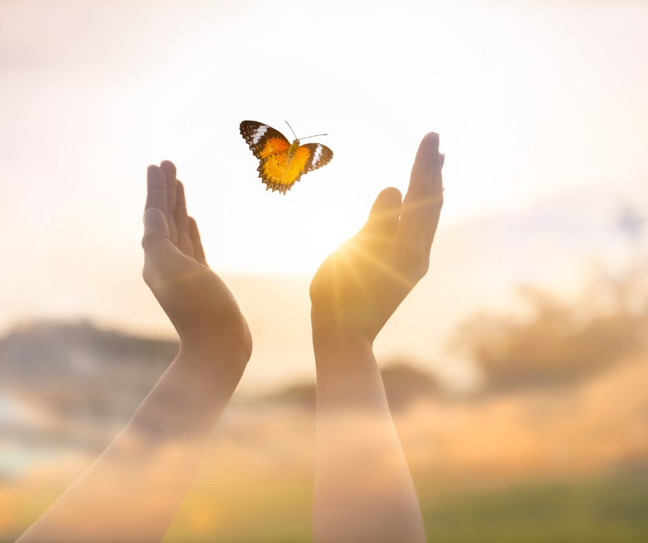 realNDWalsch's tweet photo. Bring peace to the Earth by bringing peace to all those whose lives you touch. Be peace. Feel and express in every moment your Divine Connection with the All, and with every person, place, and thing. https://t.co/ZNl6Q8Ln3x