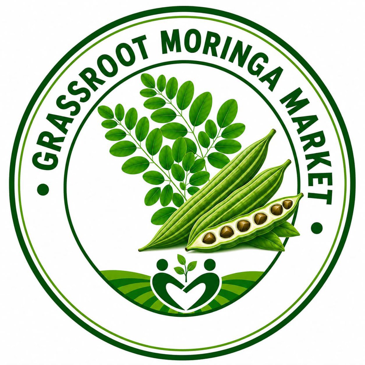 RabeBala2's tweet photo. We are seriously looking for buyers. We have Moringa seeds &amp; powder available on ground at our warehouse waiting for buyers pls. contact us@ 07083697700 or email address rbdd2007@gmail.com Thank you https://t.co/7n6RudAlA5