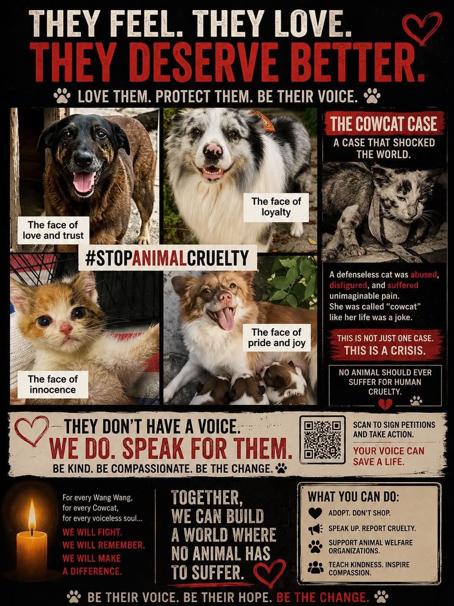 GailBow90094610's tweet photo. #JusticeForWangWang🙏 #JusticeForMiko #JusticeForCowcat🙏 #JusticeForLittleCalf🙏 #JusticeForAite🙏 #JusticeForTheodore🙏 #JusticeForTeddy🙏 #JusticeForOrelha🙏 #JusticeForLittlePetal🙏 https://t.co/J4riV8apkY