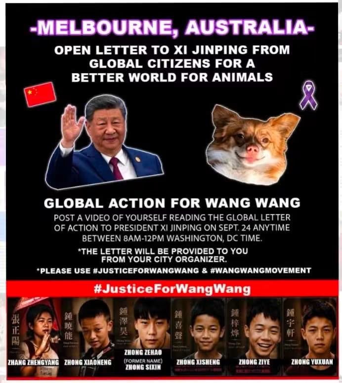 GailBow90094610's tweet photo. #JusticeForWangWang🙏 #JusticeForMiko #JusticeForCowcat🙏 #JusticeForLittleCalf🙏 #JusticeForAite🙏 #JusticeForTheodore🙏 #JusticeForTeddy🙏 #JusticeForOrelha🙏 #JusticeForLittlePetal🙏 https://t.co/J4riV8apkY