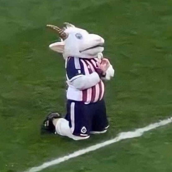 poetschiv's tweet photo. ogala gane chivas ogala https://t.co/GxoEFV8icA