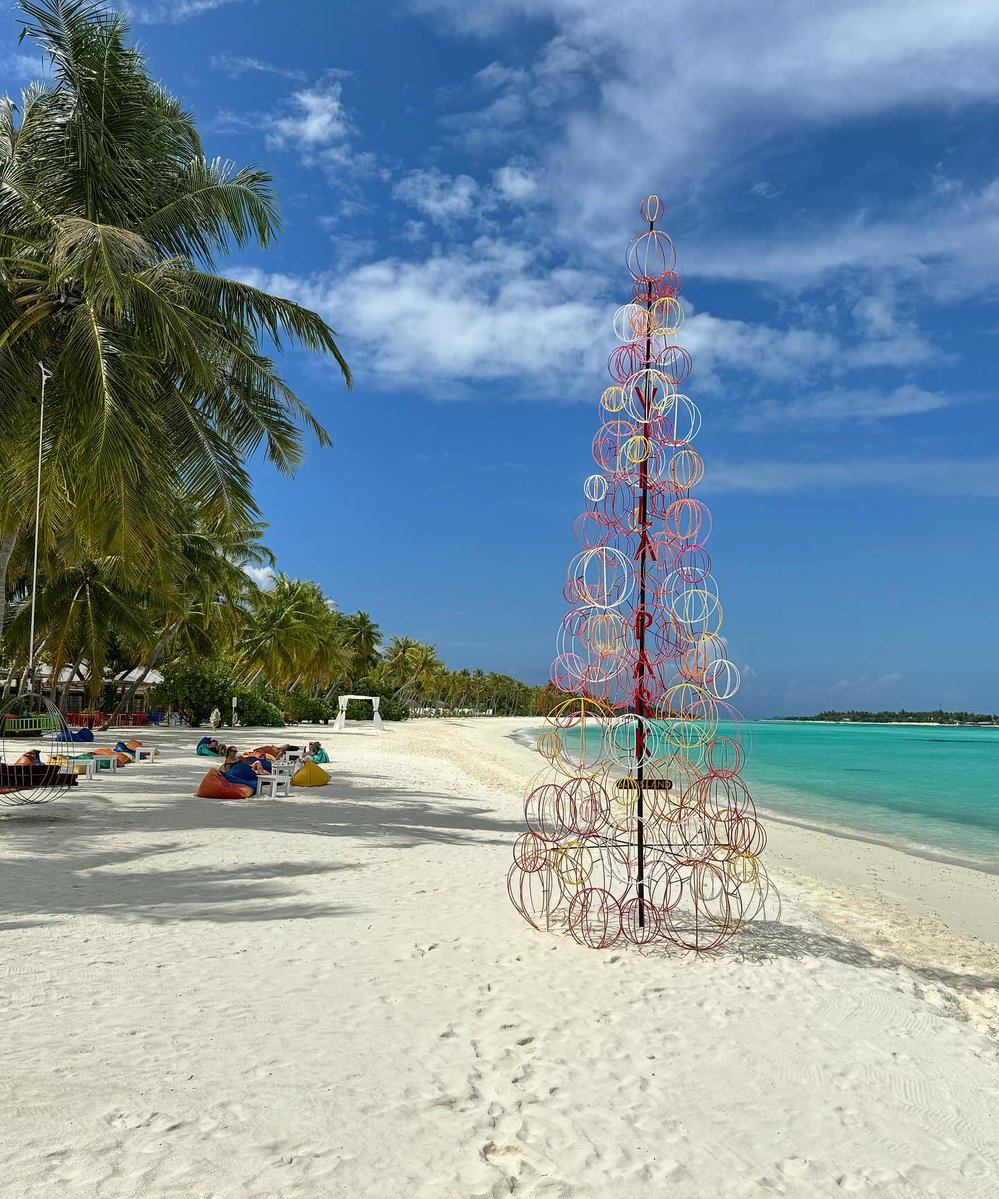 Calamardo167's tweet photo. A different kind of Christmas. https://t.co/SfkmcVPRUi
