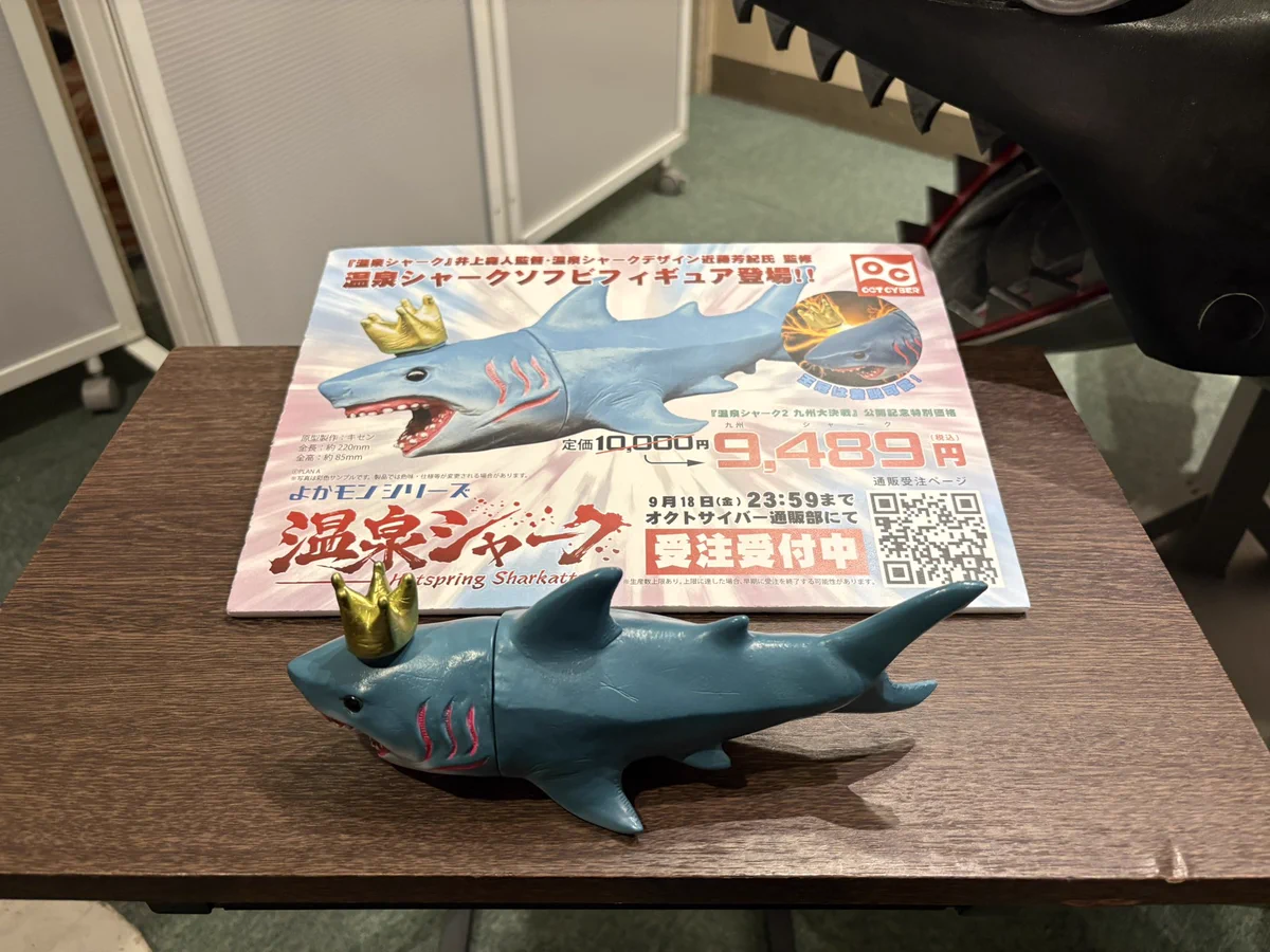 サメです もっとんちゃん🦈 on X: 