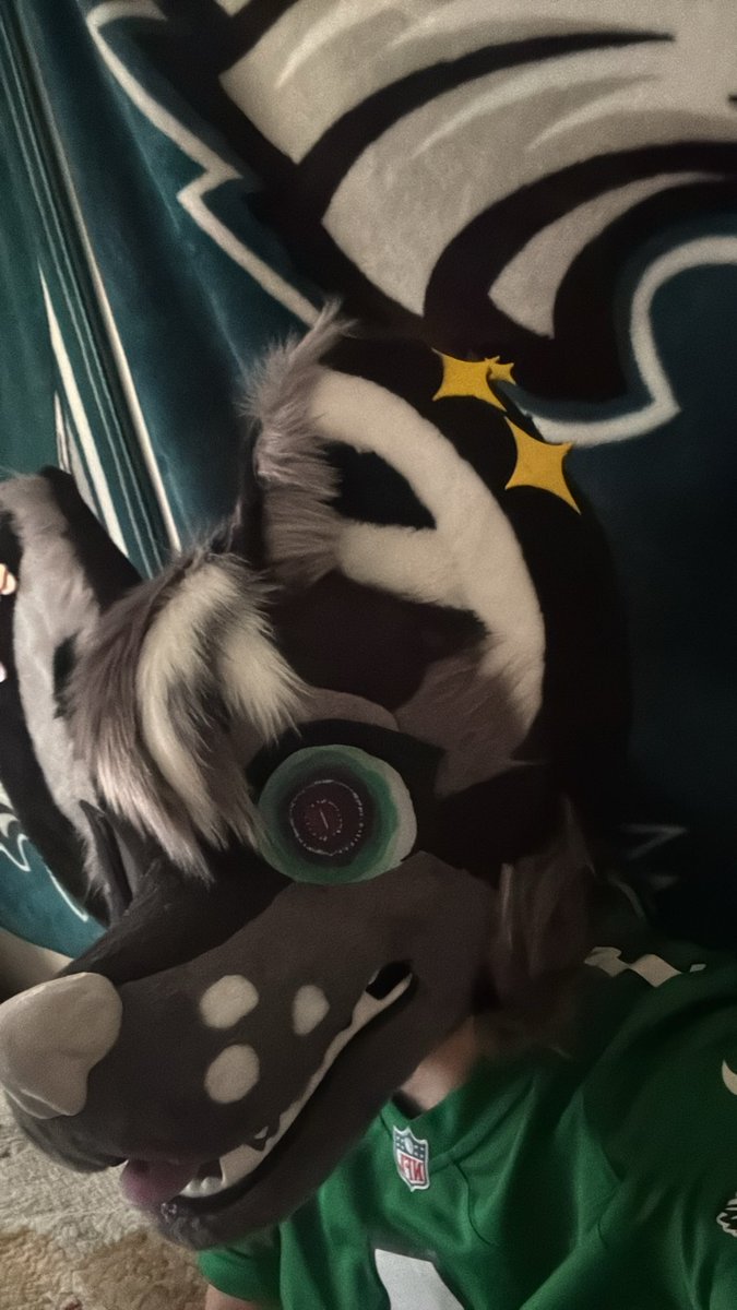 Flintfluff's tweet photo. Go birds https://t.co/EcW8xH4qow