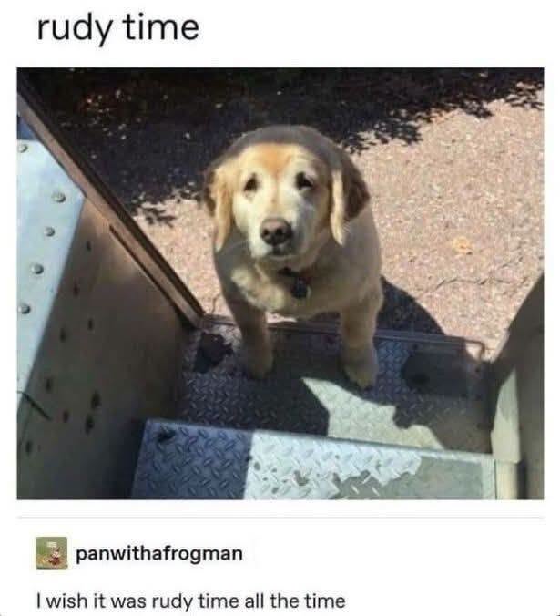 ogshitposts's tweet photo. https://t.co/L64IXTXBd1