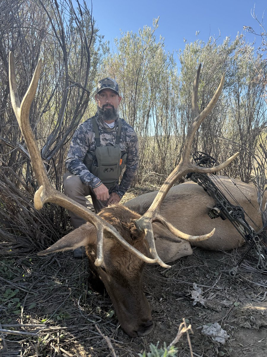 GHankins25's tweet photo. Colorado Bull ✅ now off to NM in the morning for more. Gotta love September 🤙🏼 https://t.co/EQiOHNz7WI