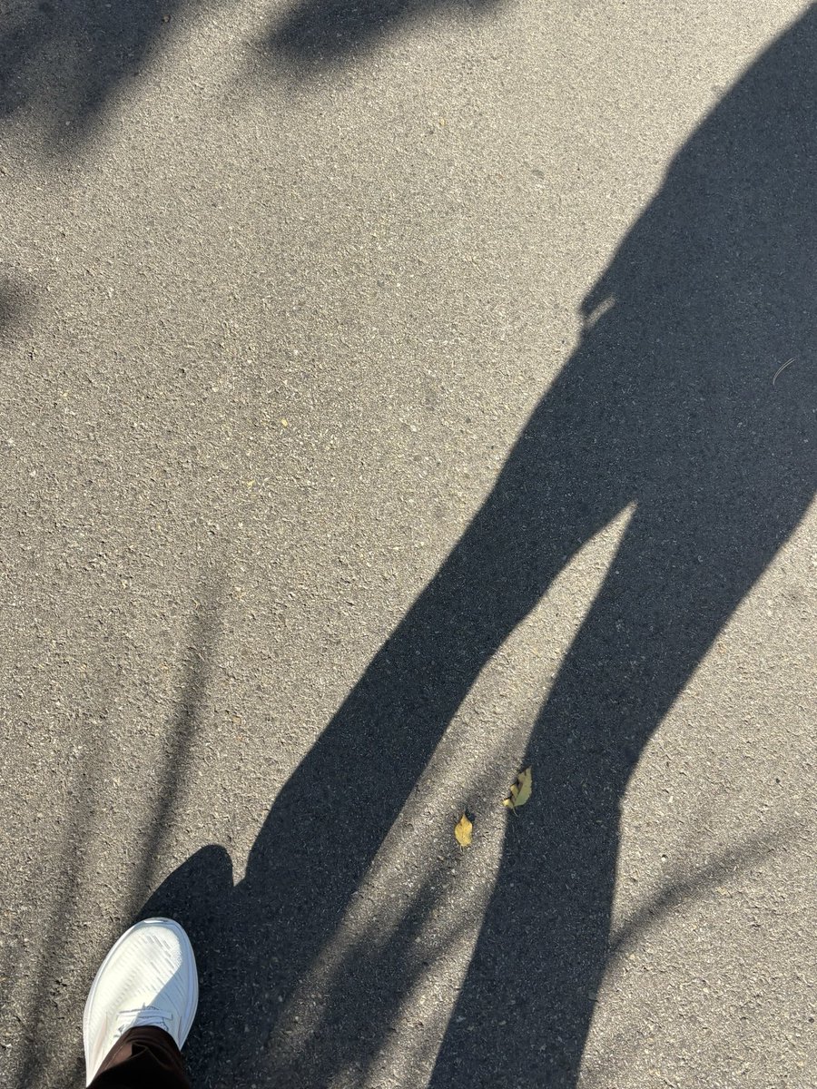 a__ana_'s tweet photo. went for a long walk and got almost 30k steps in!

see last post for step up group link so we can motivate each other to get steps in each day 🫶🏻🩷 https://t.co/fWrsPiLV6s
