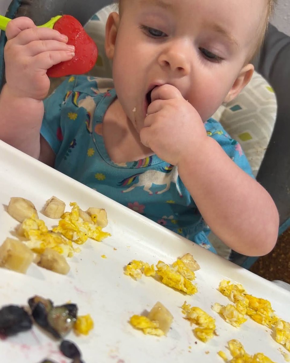 MartheBCN's tweet photo. Blueberries, banana, and eggs for breakfast. https://t.co/rysFVKbmSL