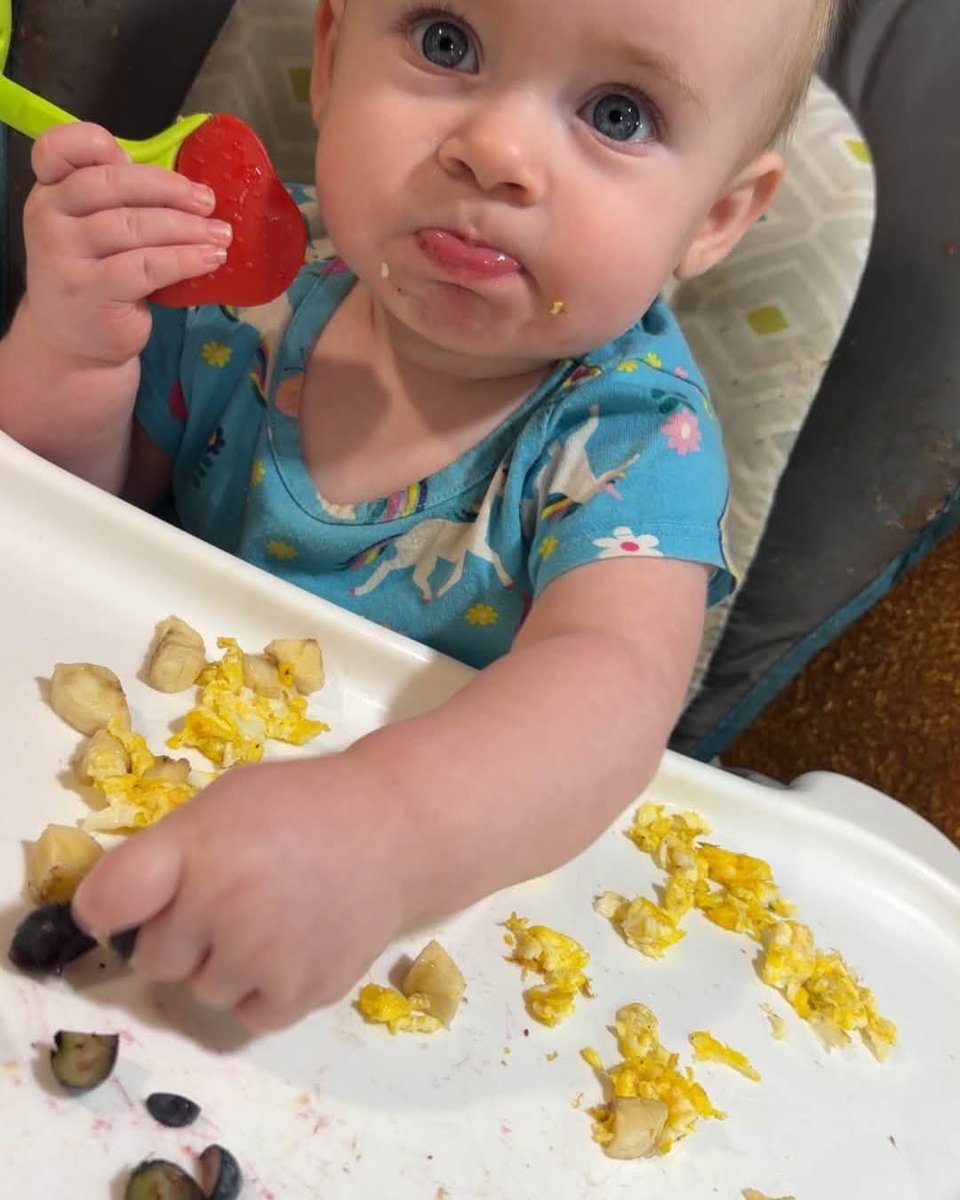 MartheBCN's tweet photo. Blueberries, banana, and eggs for breakfast. https://t.co/rysFVKbmSL