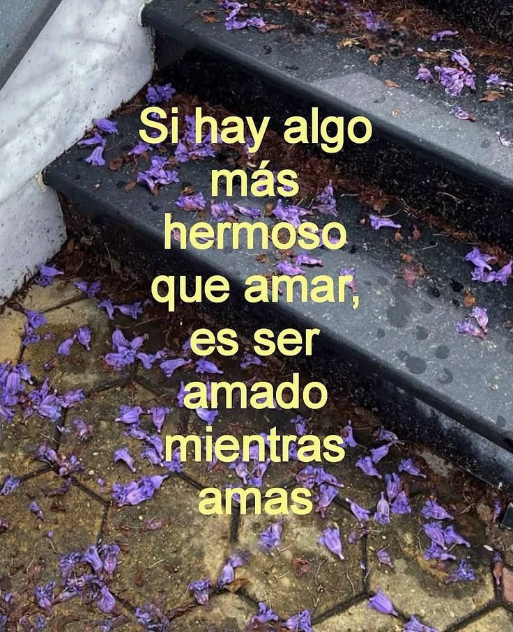 DeryaRamirez's tweet photo. https://t.co/z1yDbqFYdL