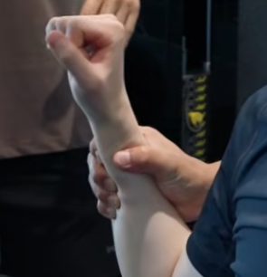 icefoxSS tweet picture