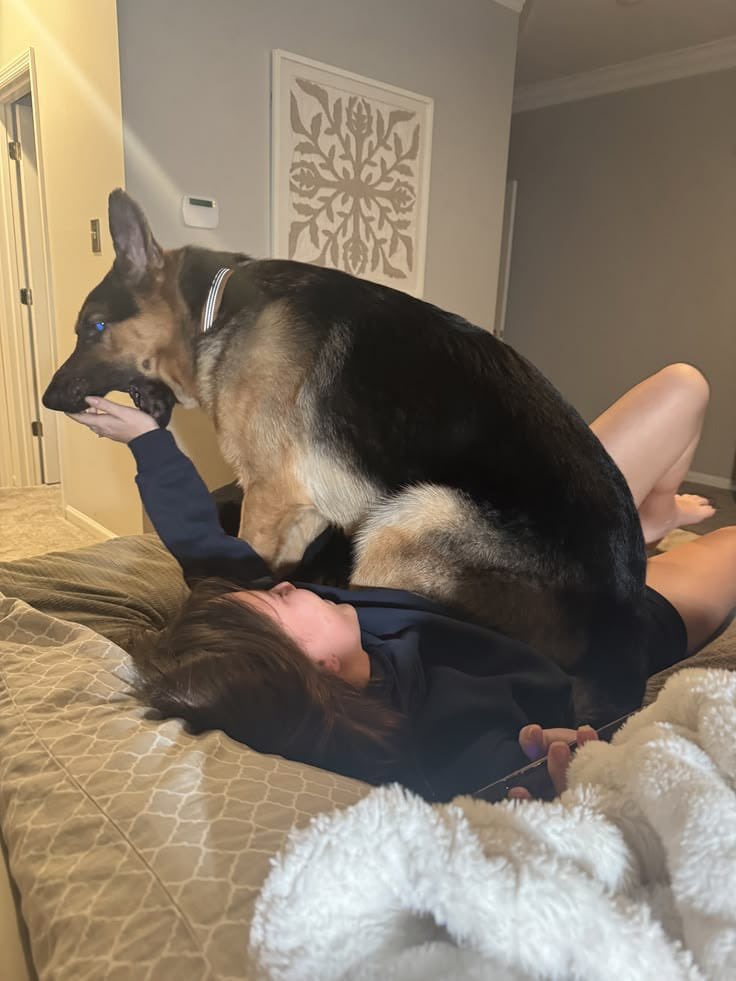 knottyrae3's tweet photo. Every good girl lets her dog deep inside her🤭🤭
TELEGRAM: https://t.co/fdrzxDIfmk

#zoophillia #zoosarevalid #beastiality
#dogknot #zooprideisvalid #zoophile
#antizoo #antizoophileantizoo #k9girl #zoopride 
#zoophilepride #zoopositivity
#Bestiality #hypnoti https://t.co/TMViLPKaOi