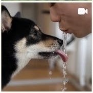 10_hnk123's tweet photo. 真似してうちの子でやってみたら激キショ思い出あった笑
あと全然知らん人との思い出きつ🙄 https://t.co/REKgGldMIr