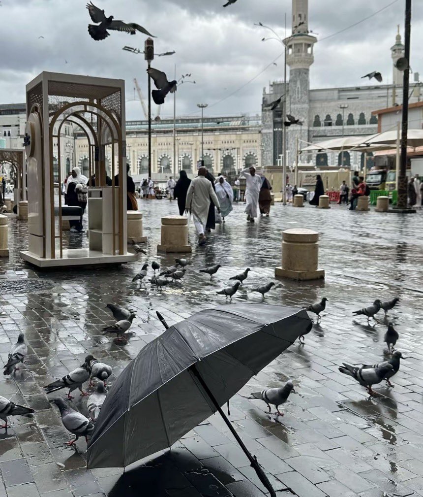 ryoo__dan's tweet photo. ما تشبهين إلا مكة لا صارت أرضها مطر
عاد شوفي وش زين سيدة المدن لا أمطرت. https://t.co/8P8N3CW7YF