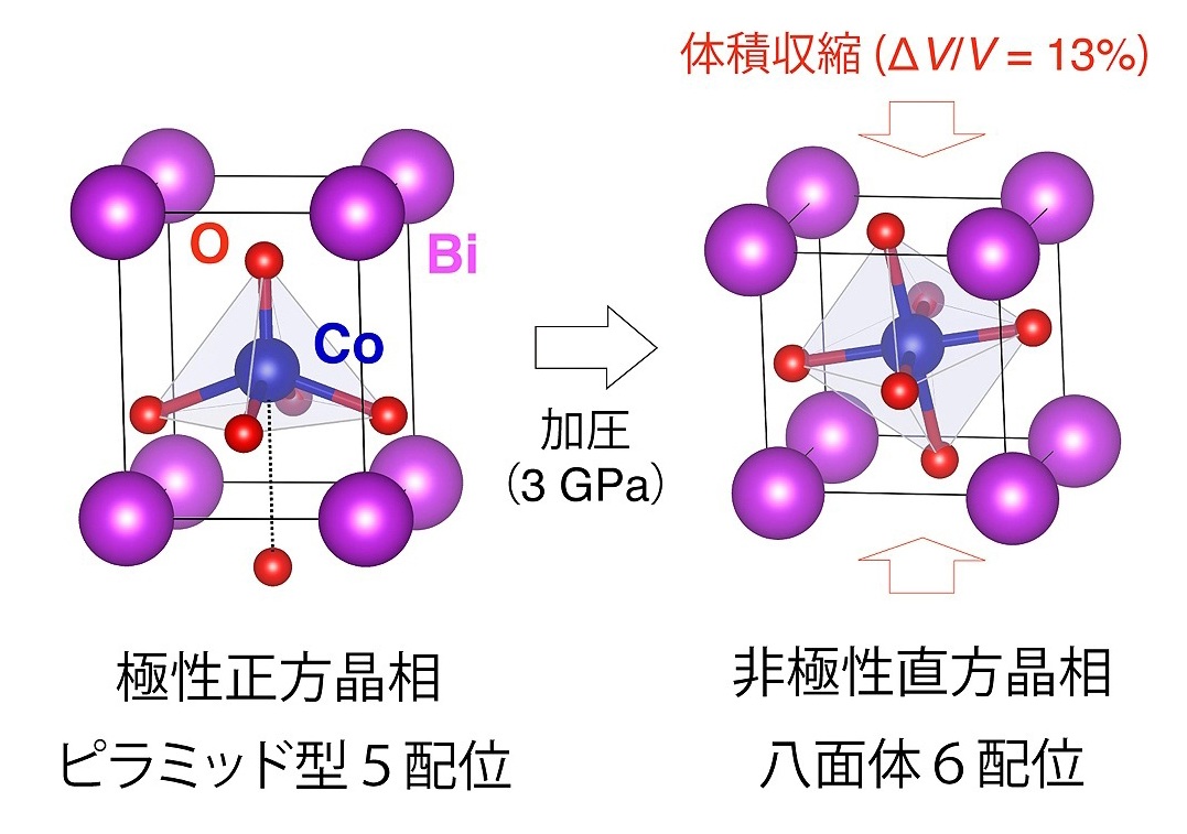 semi_journal_jp's tweet photo. 【東京科学大など、非鉛の負熱膨張材料　半導体や光通信に】

東京科学大学などの研究グループは、ペロブスカイト型酸化物コバルト酸ビスマス（BiCoO₃）を母物質とし、鉛（Pb）を含まない巨大負熱膨張物質を開発した。

化学結合の切断と再結合を伴う再構成型相転移を利用し、非Pbの負熱膨張物質として「最大」（研究グループ）となる体積収縮を達成した。

半導体製造や光通信分野において、温度上昇に伴う位置ずれや接合界面の剝離を防ぐ熱膨張抑制材としての活用が期待される。

出典：NIKKEI Tech Foresight
https://t.co/p3i4FMasjD