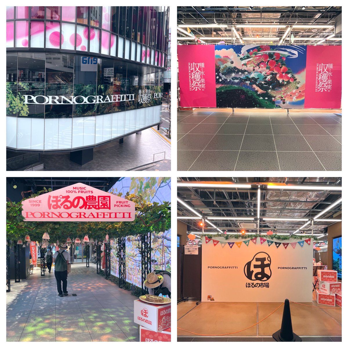 Poohgraffitti's tweet photo. 果実発売日(9/9)に収穫祭へ行ってきました🍇
よねさんのおかげでコラボメニューを食べられ、感謝です！🙏✨
八百屋で果実を購入したので、水Live Setで映像と共に初視聴🌸
農園で収穫した果実に愛着が湧き、市場でも沢山のグッズに囲まれて幸せ☺️
見所満載であっという間に時間が過ぎてしまいました😆 https://t.co/gTm0HXsGyP