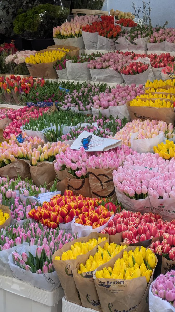 FLOWERS3700's tweet photo. https://t.co/2rRkupcUtP