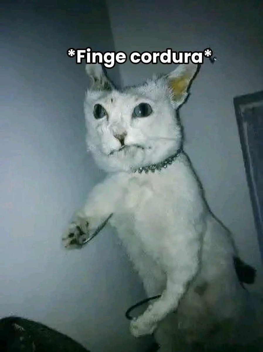 CarlosAxe3's tweet photo. Mi estado de salud actual. https://t.co/dbiUcr07ki