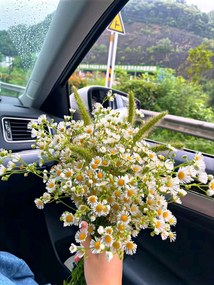 FLOWERS3700's tweet photo. https://t.co/eM4sQhMFsT
