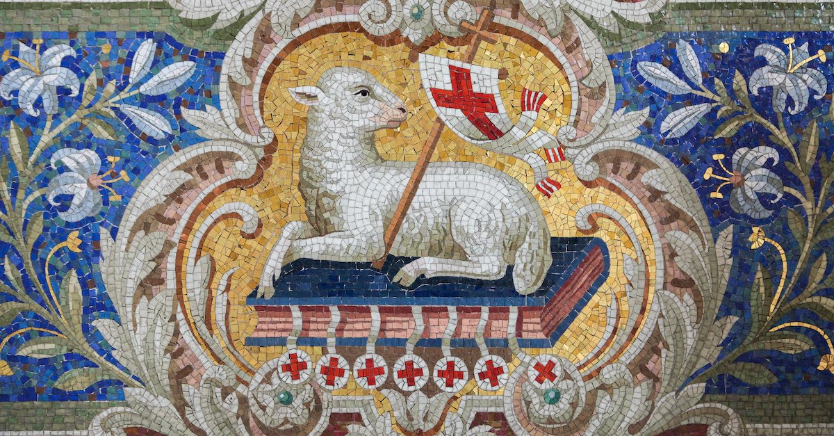 r1999_udimos's tweet photo. Today’s udimo of the day is Nautika!! 🐑❄️

Nautika’s udimo is a sacrificial lamb!! During the Passover, the sacrificial animal would usually be either a lamb or goat and had to be unblemished, one year old and male!! https://t.co/ly2KaZniTB