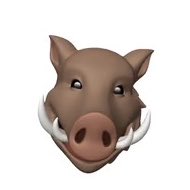 PositivePiggy5's tweet photo. #NewProfilePic https://t.co/5aITrXK4Z0