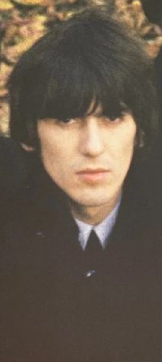ringoseyebrows's tweet photo. no no, THIS is Onion George https://t.co/vEdJHWSDbm