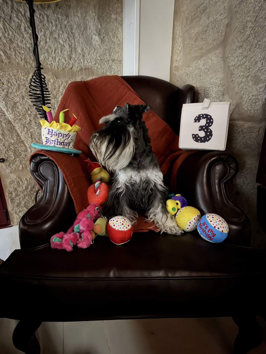 Siguiendo2's tweet photo. Es hoy? 14/09!!!! 3 añines! https://t.co/QbtmsVdlcM