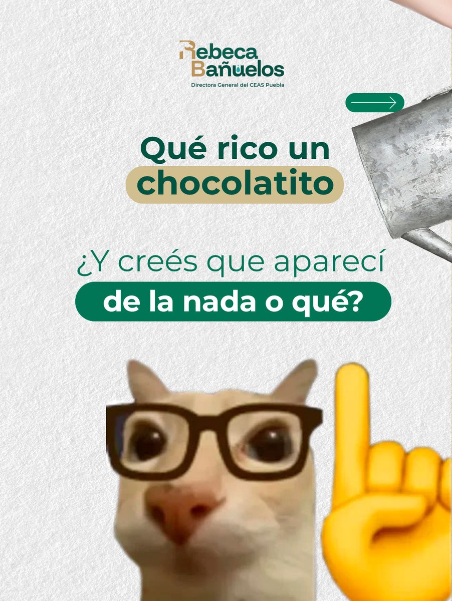 RebecaBanuelos_'s tweet photo. 🍫💧 Un chocolatito parece poca cosa, pero detrás hay tierra, cultivo y, sobre todo, agua.

Este 13 de septiembre, celebremos el chocolate recordando que cuidar nuestros recursos también es cuidar todo aquello que disfrutamos. 🌱 https://t.co/nbNFRm4Z15
