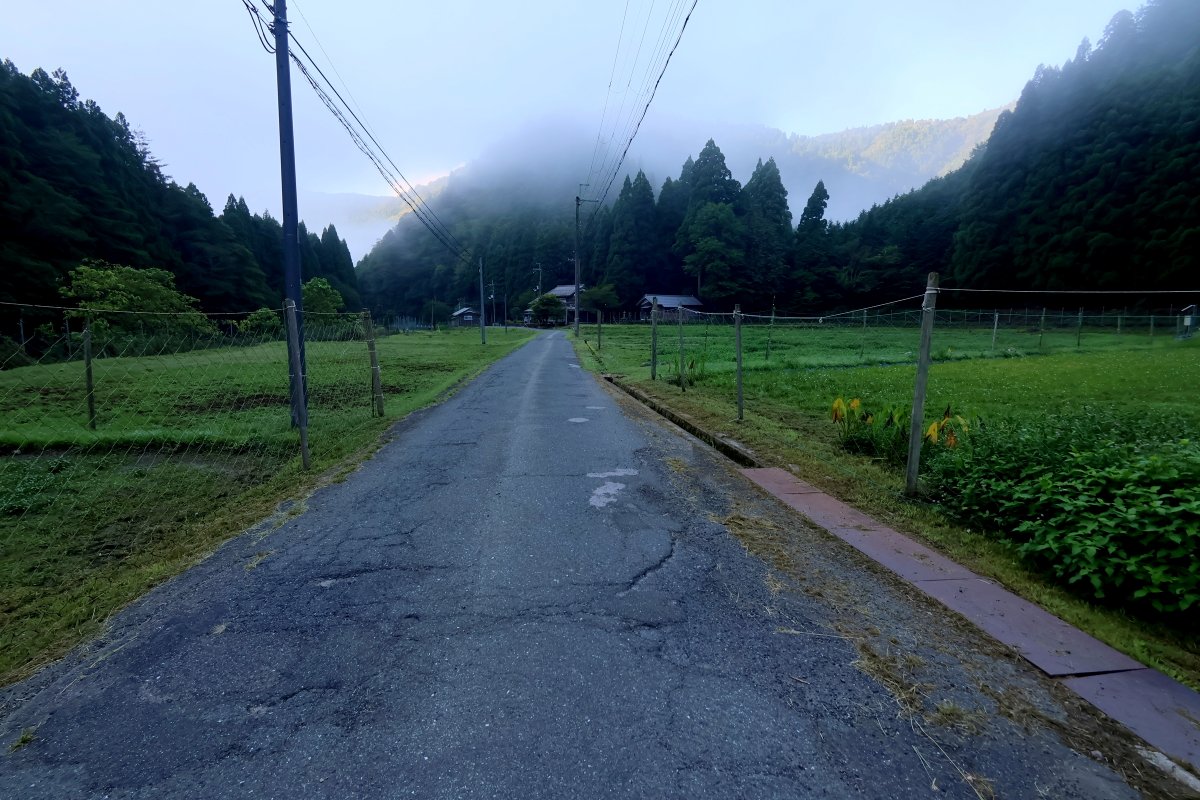 kutukikogawa's tweet photo. あさイチの下針畑https://t.co/ze5zDuHM81。山霧の朝に。草刈りあとの農的庭。アサガオ棚に、カボチャ。 #舎暮らし #針畑川 #針畑 #朽木 #滋賀県 #japan📷📷#朽木漁協組合 #自然 #天気 #写真 #鯖街道を歩く #あさイチ #countrysidelife #countryside #田舎生活 #秋雨前線 #田舎と都会 #農的庭 https://t.co/RiXG1klSmh