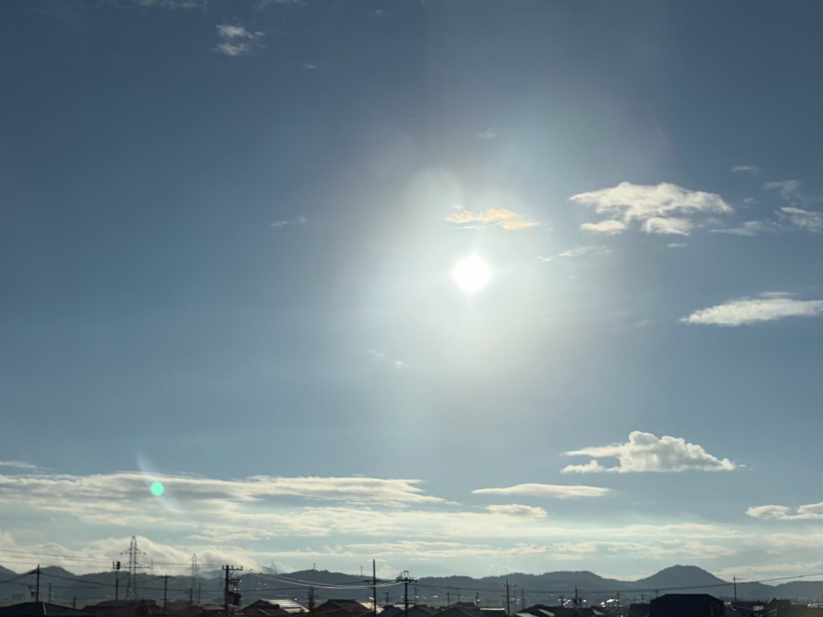 annadonna97's tweet photo. 今朝はお日さん出てる https://t.co/K3Kj4KPZ64