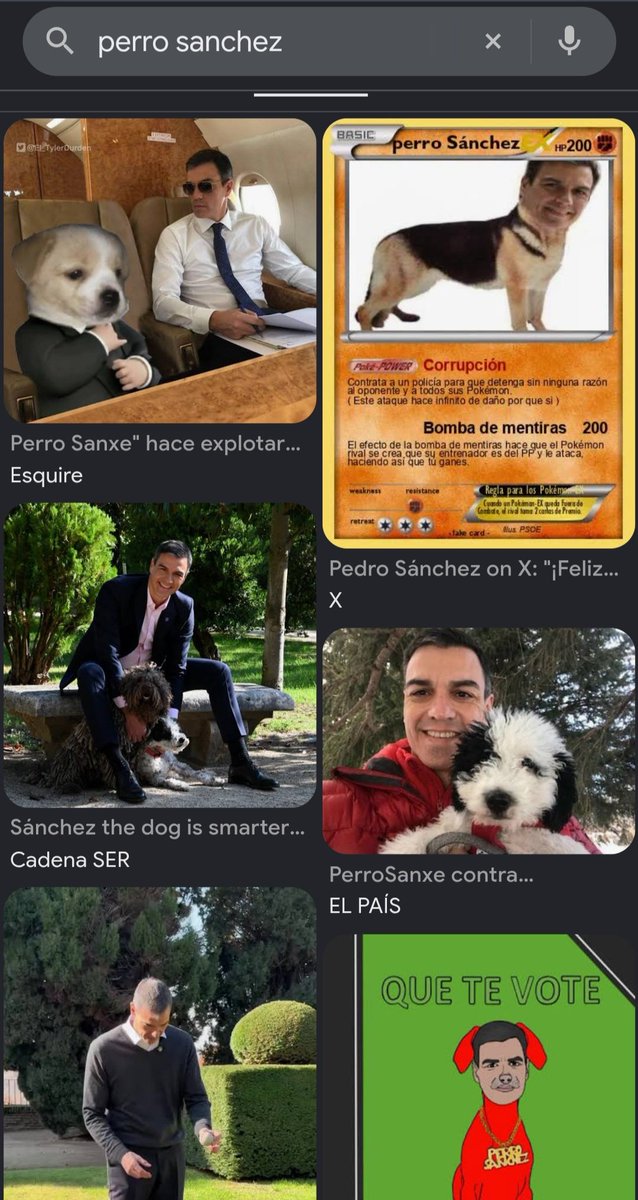 Hedillismo's tweet photo. @Nanosecso Lo que ha visto Lawson en google imagenes cuando ha buscado perro sanchez: https://t.co/qzlgGEckvY