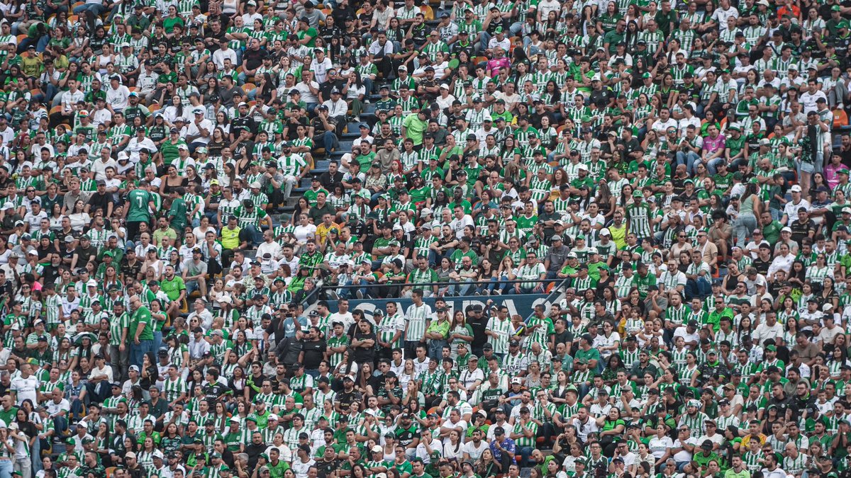nacionaloficial's tweet photo. Verde aquí está tu gente 🎶 🇳🇬

#VamosTodosJuntos https://t.co/4uALqGsD41