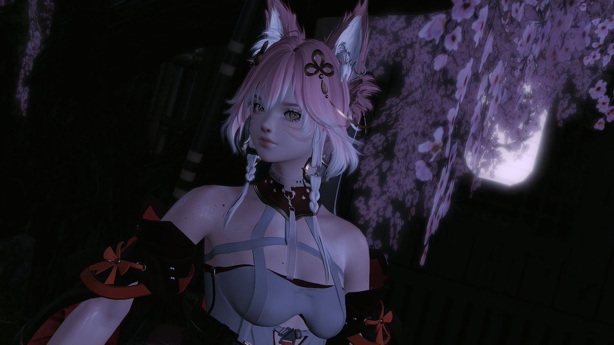 LilibethXIV's tweet photo. Random Changli cosplay :D https://t.co/OozCd38F7i
