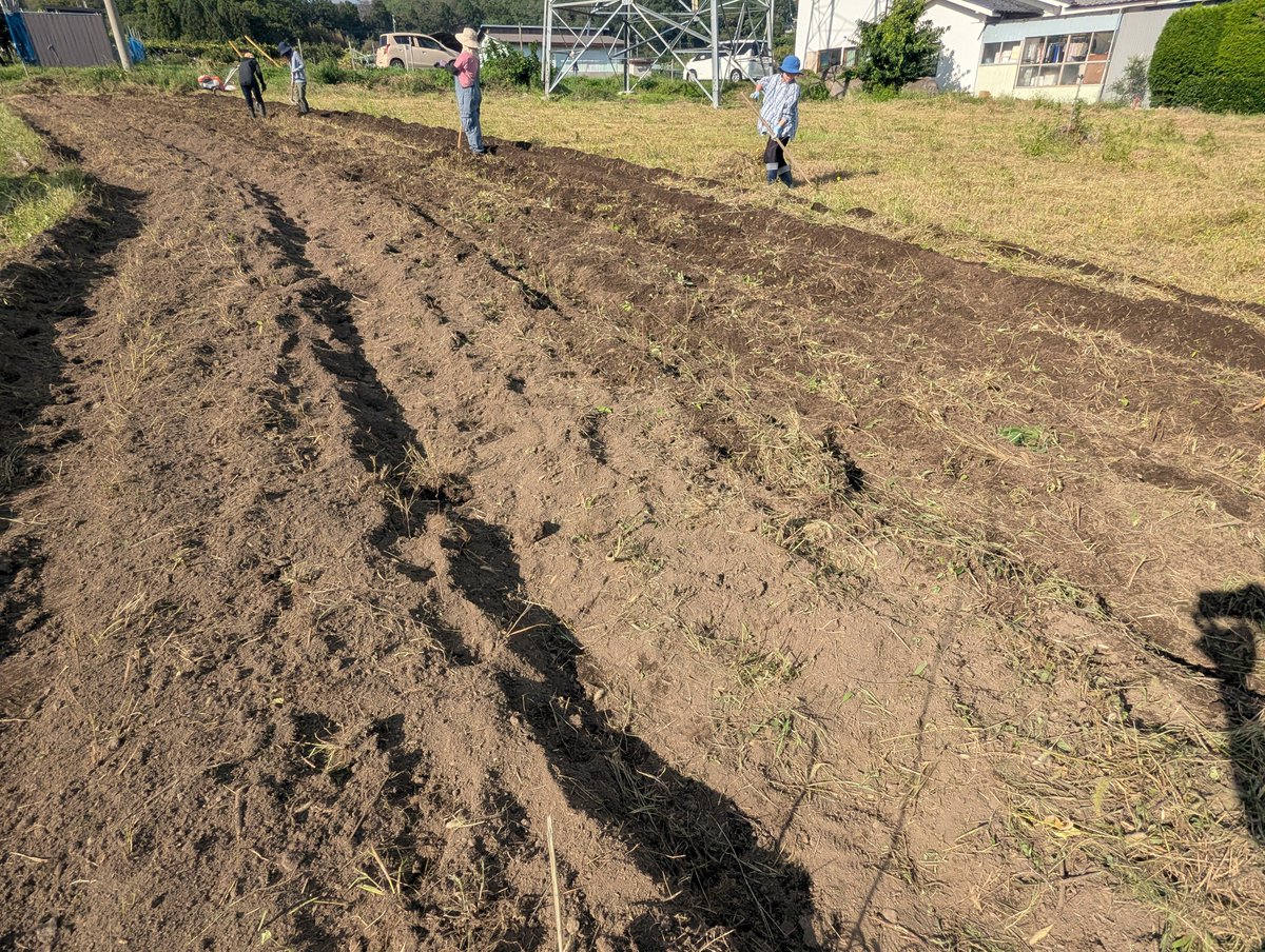 omiyado_'s tweet photo. 9/13
油用の菜種を蒔く。
おみやど油搾りプロジェクト（裏ネームコード:油まみれ）スタート。 https://t.co/9w6EG7bYer