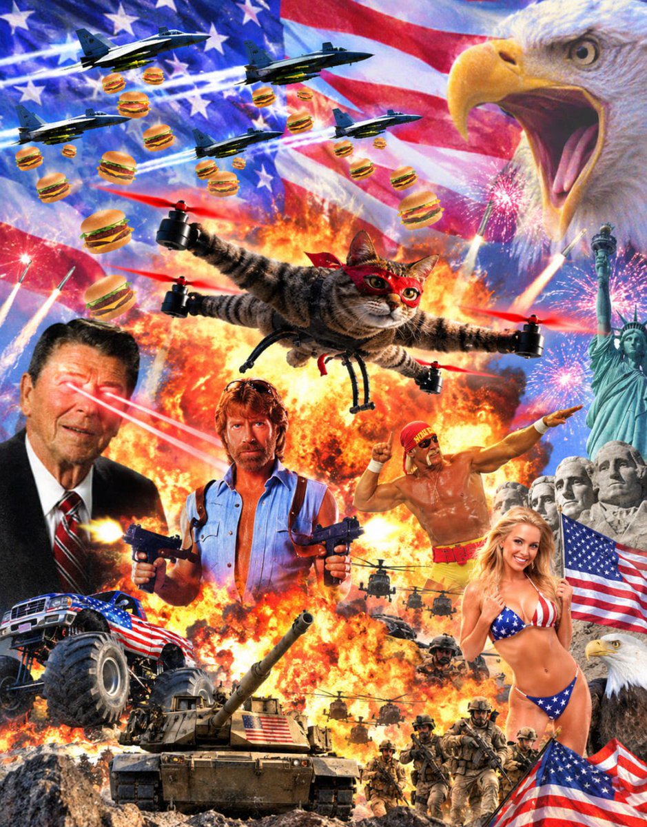 redcatdrone's tweet photo. The American Drone https://t.co/BDkJVV8fqZ
