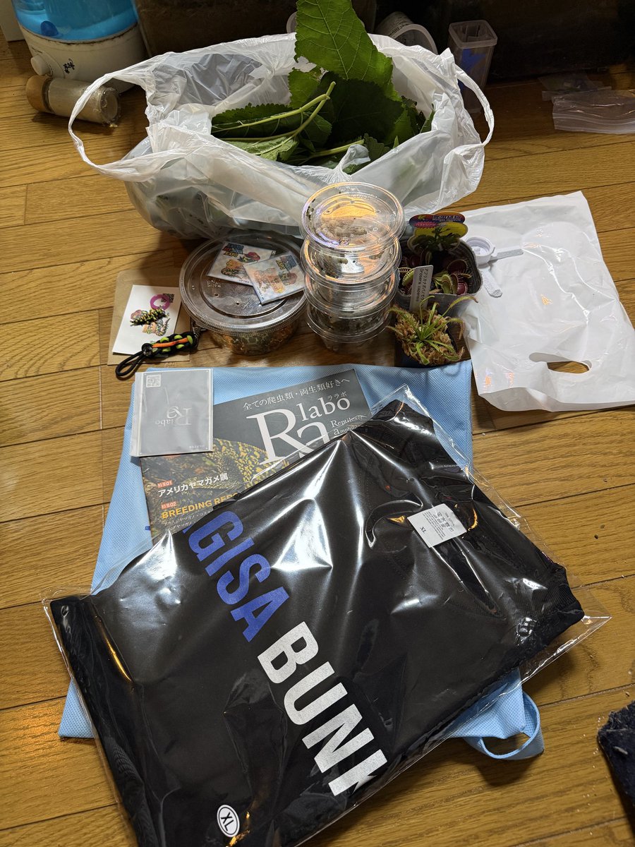 uk1814uk's tweet photo. 昨日のゲコマ＆EXPOの購入してです。
なぎさ文庫での保存用に二冊目を川添さんから直に購入！
もちろんORYZAさんにてシルク、マダラ牧場さんにてお迎えしました。食虫植物も！
お話したかった方々ともお話しできました。ありがとうございました。
#ゆうちゃんnews
#なぎさ文庫
#oryza https://t.co/Wm0rAsRnLz