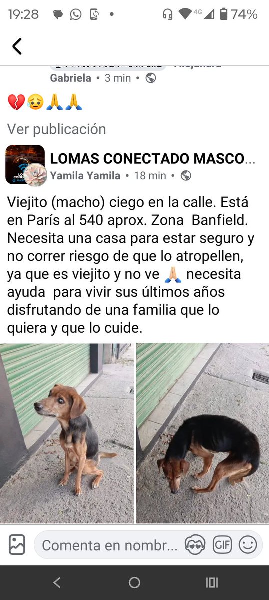 ALEXIANA777's tweet photo. Como puede ser gente de Banfield ver un perrito ciego y seguir de largo !!!😥💔💔🙏🤬desnutrido pobre angel ,!! #urgentee ayuda lo puede matar un auto calle Paris al 540 ayuda x Dios #RT 💔💔😥🙏🙏 https://t.co/UkzrhIpwgt