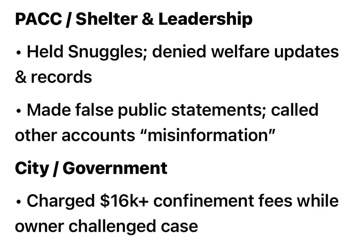 mistclance's tweet photo. The silence is deafening, frustrating &amp; infuriating.
This poor dog has lost almost a year in a concrete cell—no activity, forced to bathroom there.
Legal process takes too long!! 
@TucsonRomero end this cruelty!
#freeSnugglesNow 
#SaveSnuggles https://t.co/X7SsiBuufT