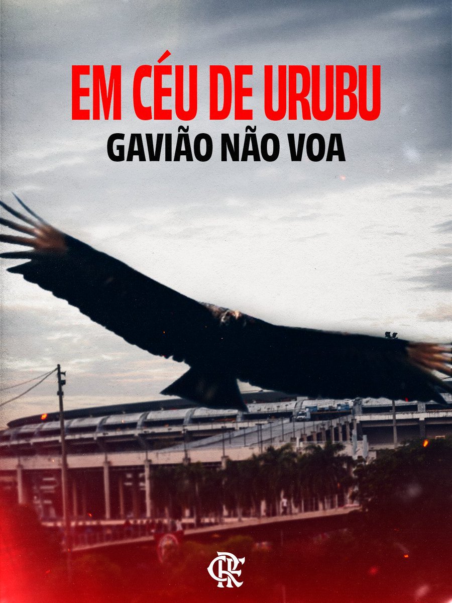Flamengo's tweet photo. Pouco papo e mais três pontos no Brasileirão!

SEGUIMOS, MENGÃO! 🔴⚫ https://t.co/muMtvaFVEU