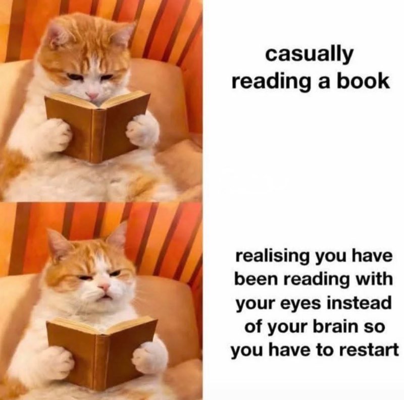 DoriJeanDill's tweet photo. #readerproblems #bookmemes #bookishhumor #readingcommunity https://t.co/ZHIgDidiJw