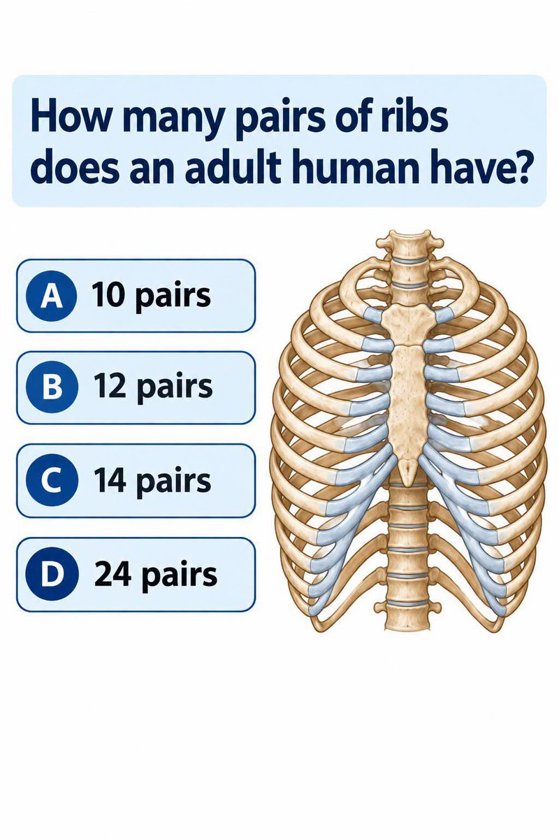 KnowledgeBytesX's tweet photo. https://t.co/CtqJTbTIYt