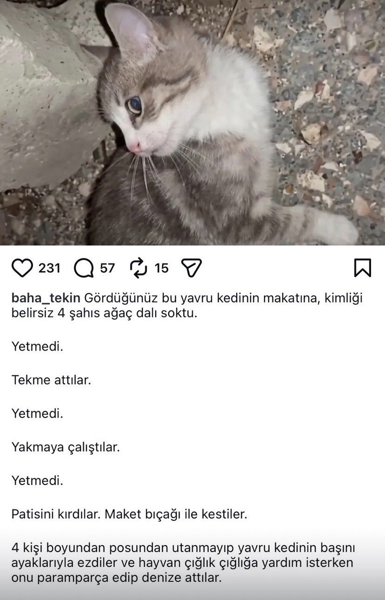 Samurai_noirr's tweet photo. Katiller bulunana dek susmuyoruz, susmayacağız‼️ https://t.co/G8KhLkZExp