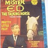 El_Jefe_TheBoss's tweet photo. #FirstDiaperWhore aka #MrEd🐴 https://t.co/RSCR5SwGii