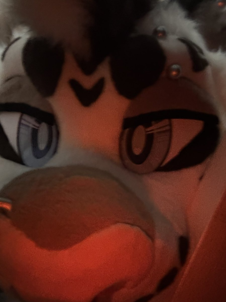 tinnedfishfan's tweet photo. i think i scared him 😥😥😥😥 https://t.co/buCndNkruj