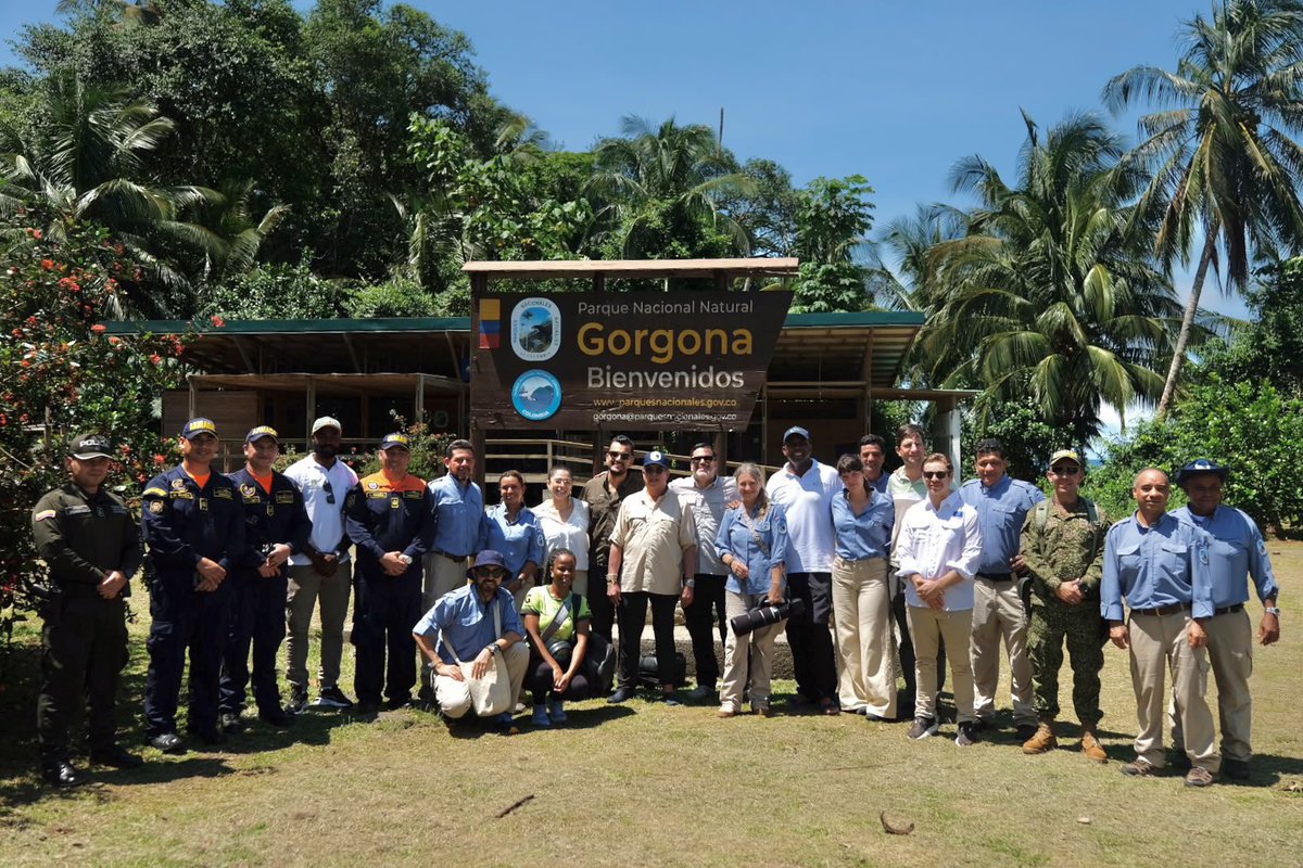 MinAmbienteCo's tweet photo. #ElABCdelAmbiente | El ministro @fabio_arjona llegó al PNN Gorgona junto a la directora de @ParquesColombia , @sandrabessudo , representantes de @UEenColombia, @EmbAlemaniaCOL y @NoruegaenCOL, autoridades locales y ambientales, Fuerza Pública, consejos comunitarios, emprendedores y operadores turísticos. 🌊

Un encuentro para conversar sobre el presente y futuro de este lugar estratégico para Colombia, poniendo en el centro a quienes conocen, habitan y ayudan a conservar la riqueza natural del Pacífico colombiano. 🇨🇴 🌴