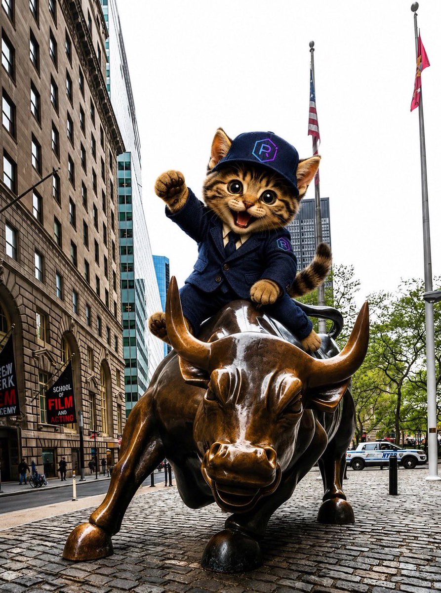 a4zer_'s tweet photo. @0xINFRA $raycat is ready https://t.co/ofw8VXL5mm