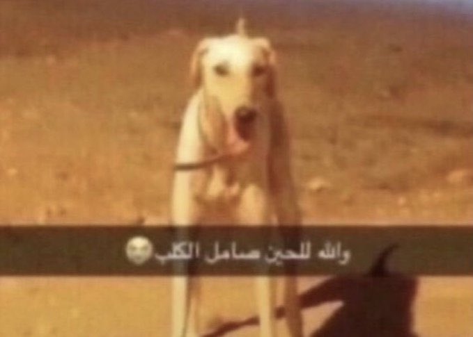 0iq4_'s tweet photo. @han_y25 @maadrii0 @YAYA_AB19 https://t.co/wPD51rAf87
