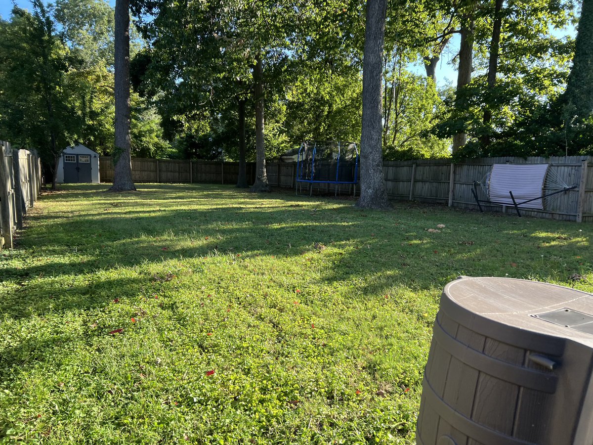 iamrodneysmith's tweet photo. Gage of Norfolk, Virginia who is taking part in our 50 yard challenge is back at it with a new lawn ! Lawn 40! Changing to the red shirt ! 10 left ! https://t.co/khFeygLvN8