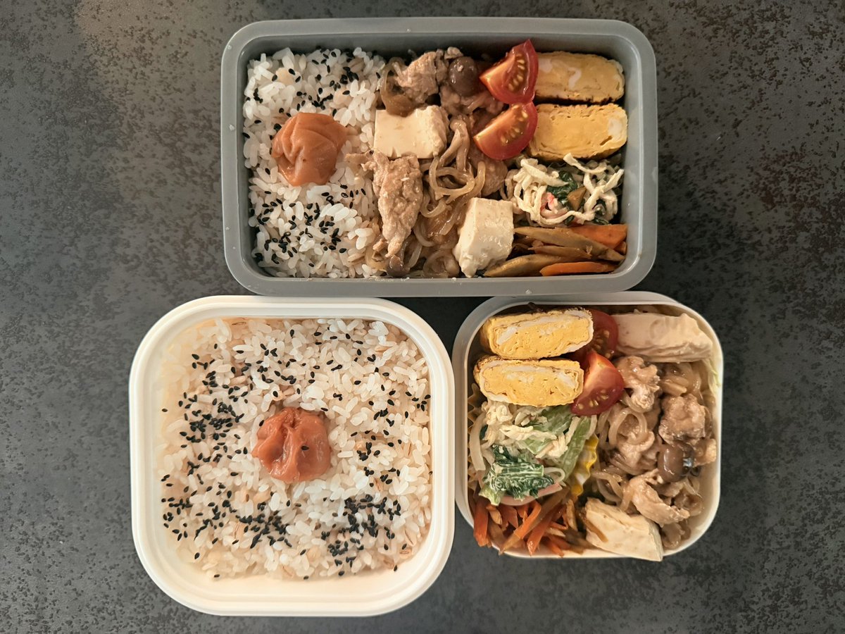 obento_ol's tweet photo. 2026.09.14
豚こまで肉豆腐です
ムスコがいつも豚さんのお肉が食べたい
と言うので豚肉料理が多くなった🐷
私は鶏肉派だからか豚肉料理は
あんまりレシピが思いつかない、、笑
糸蒟蒻、豆腐でかさましして節約節約〜
きんぴらごぼうにハマって
今週もまた作ってしまった🤣
#今日のお弁当 #お弁当記録 https://t.co/rxuXR9iFWr